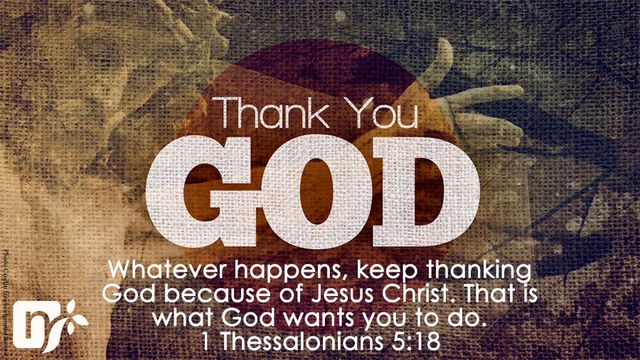 The Power of Gratitude