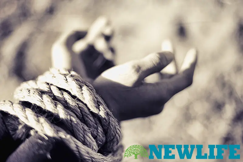 5 Fear Factors to Set You Free