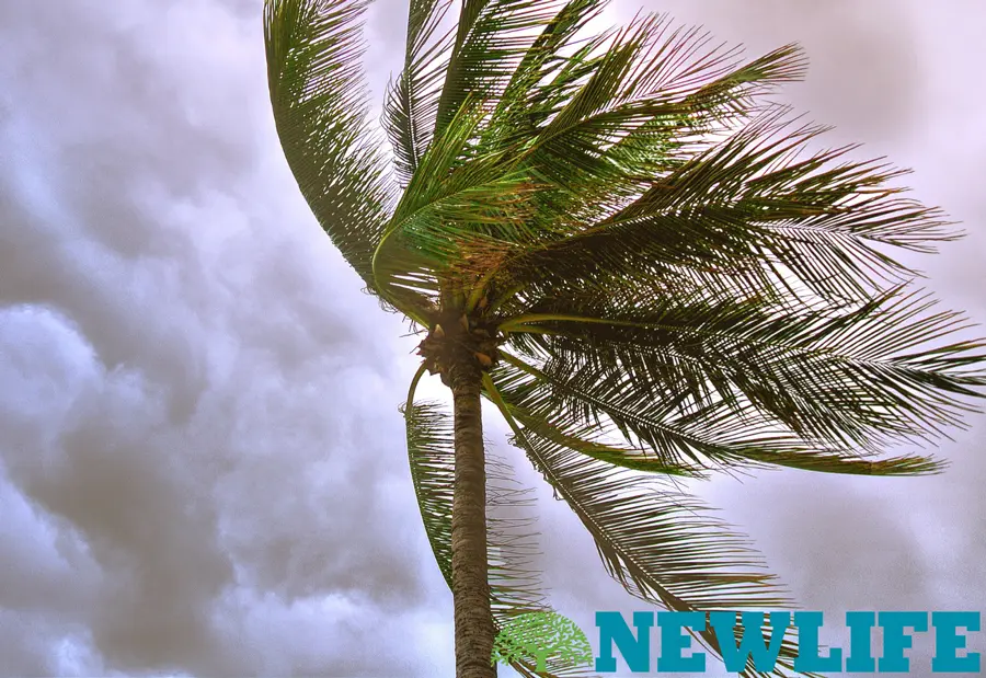 10 Tips When Disaster Strikes