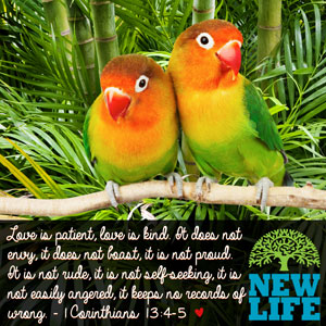 Perfect-Mate Myth