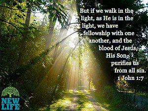 Where to Start Spiritual Renewal