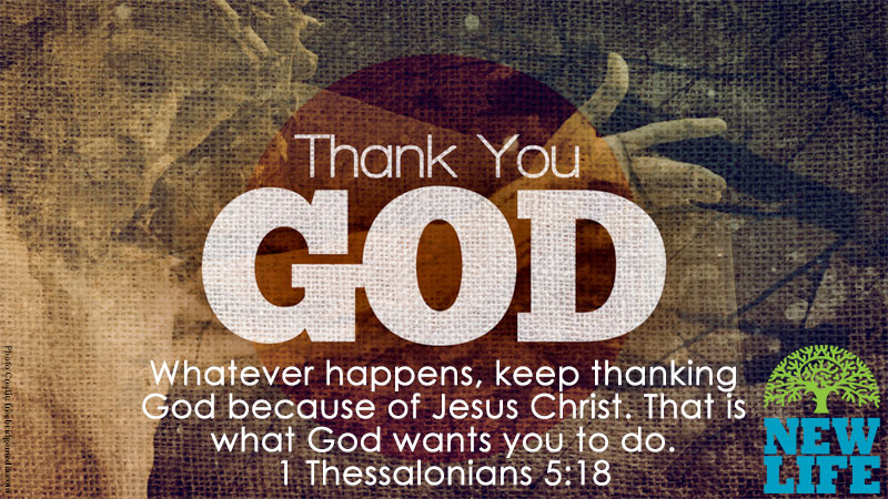 The Power of Gratitude