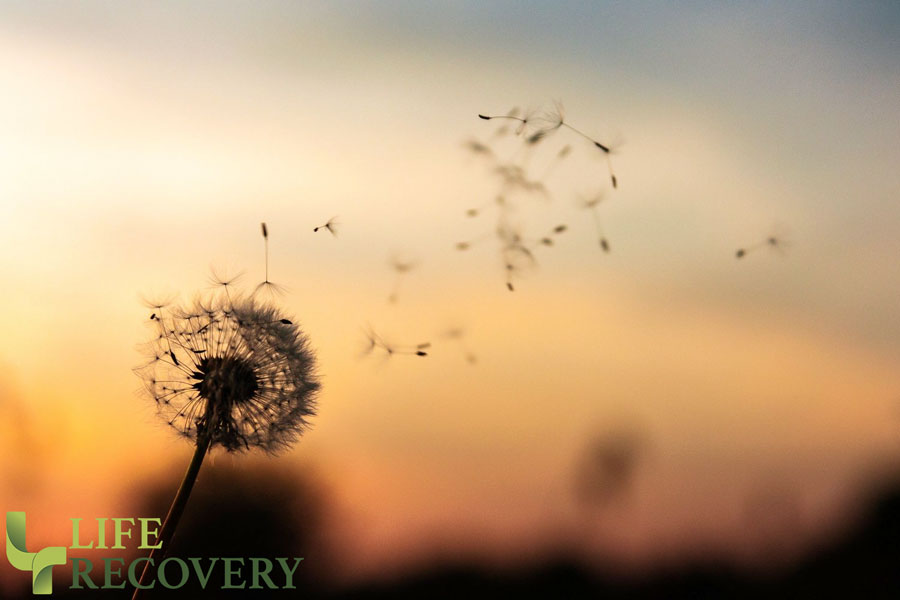 11 Signs and Symptoms of a Reactive Life