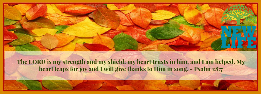 Giving Thanks – Day 29: Cultivating a Constantly Grateful Heart