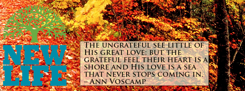 Giving Thanks – Day 15: Cultivate a Heart of Gratitude Part 5