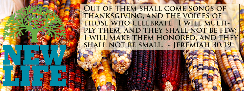 Giving Thanks – Day 8: Delight in Your Thanksgiving Holiday