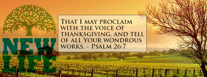 Giving Thanks – Day 6: Growing in Christ