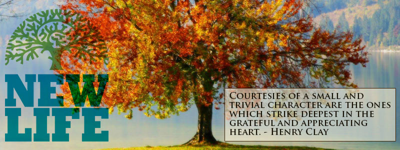 Giving Thanks – Day 11: Cultivate a Heart of Gratitude Part 1