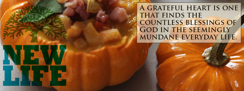 Giving Thanks – Day 12: Cultivate a Heart of Gratitude Part 2