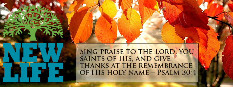 Giving Thanks – Day 13: Cultivate a Heart of Gratitude Part 3