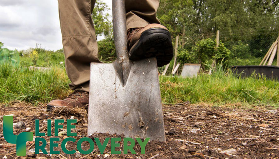 6 Tips to Dig Out the Roots of Bitterness