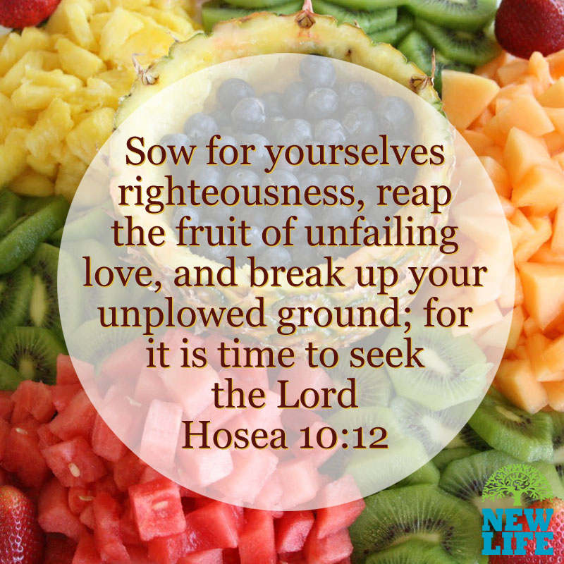 A Divine Appetite