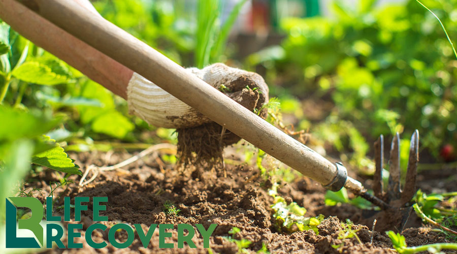 Why is an Ongoing Inventory Like Weeding?