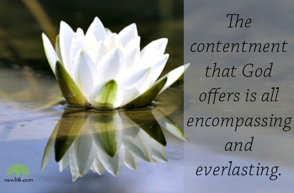 Contentment