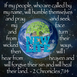 Growing in Wisdom