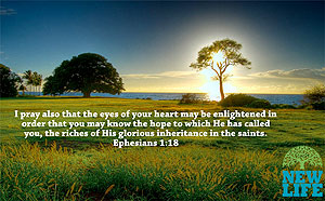 Open the Eyes of Your Heart