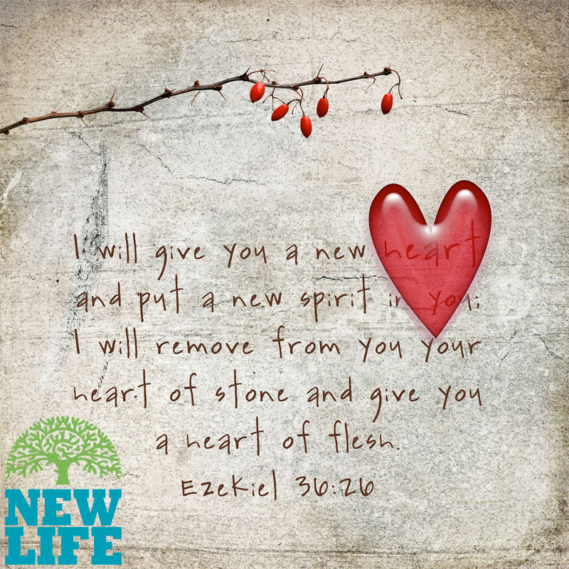Time for Renewal