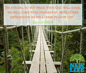 Fear or Fear Not