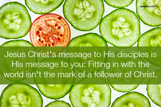 Are You Fitting In?