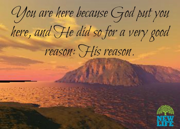 Seeking God’s Plans