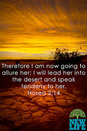 The Deserts of Life