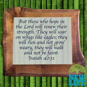 Those Who Wait Upon the Lord