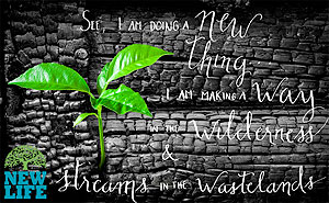 Accepting Life