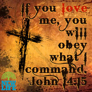 Trust and Obey
