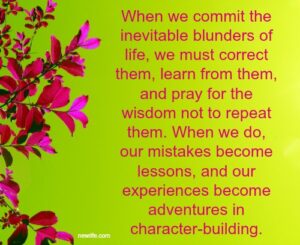 Making the Most of our Mistakes