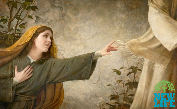 Healing Faith