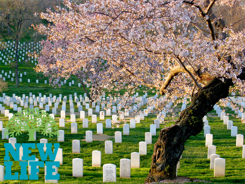 Powerless over Death