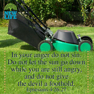 Man vs. Lawnmower