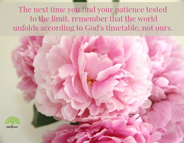 The Power of Patience