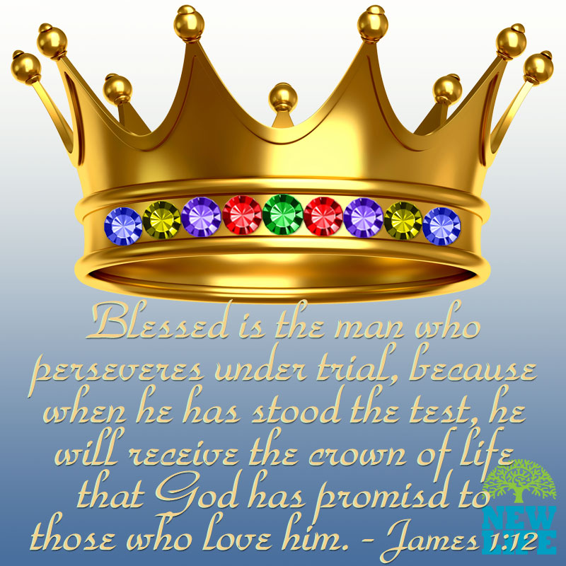 Perseverance