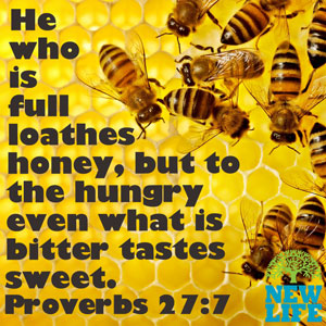 Cultivating a Divine Appetite