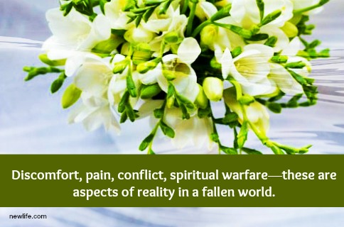 Reality Can Hurt