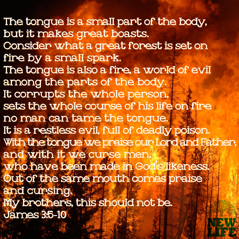 The Power of Words