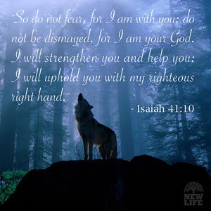 Wolves in the Dark
