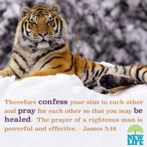 Confessing
