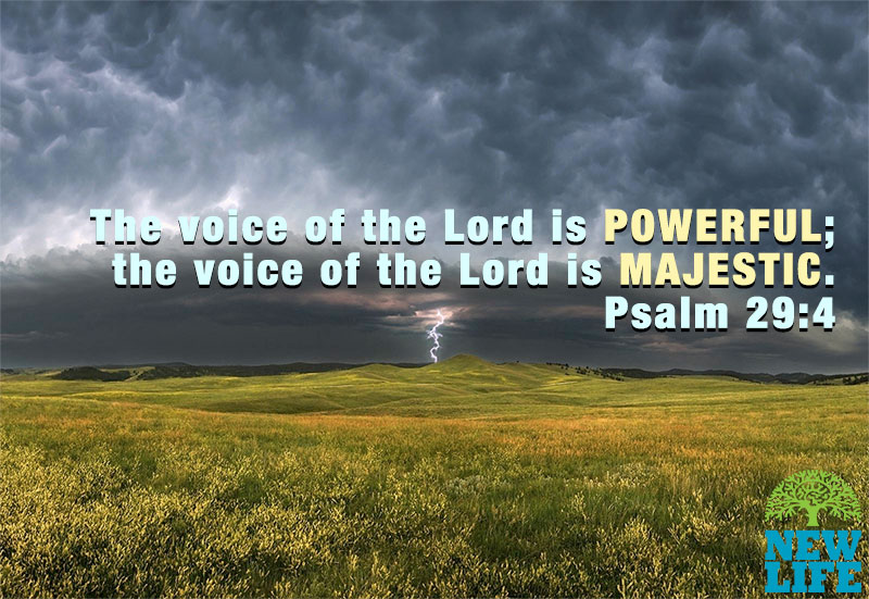 Your Limitations, God’s Power