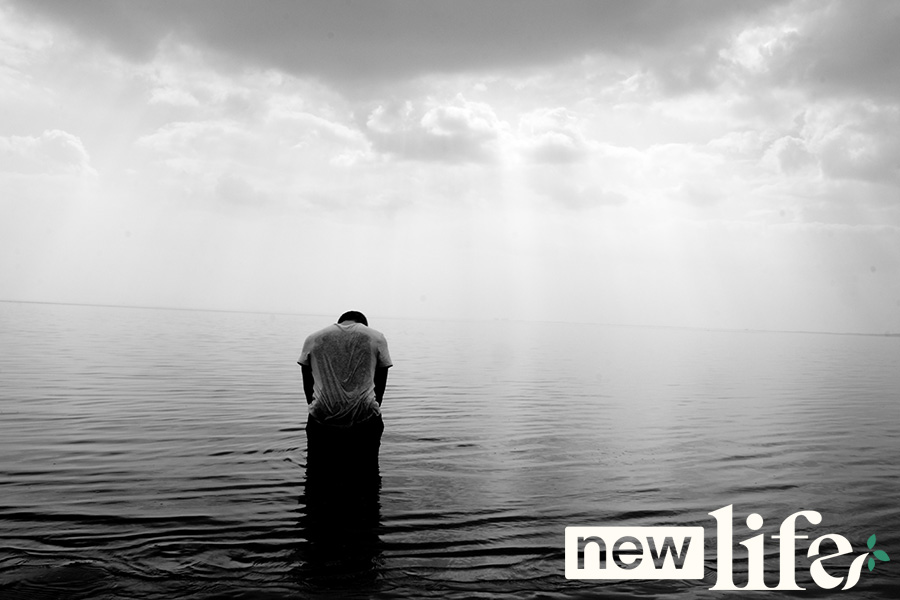 6 Steps to Emotional Freedom