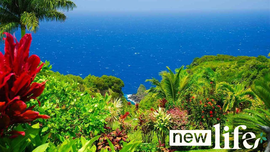 Paradise Lost: What Eden Teaches About Relationships