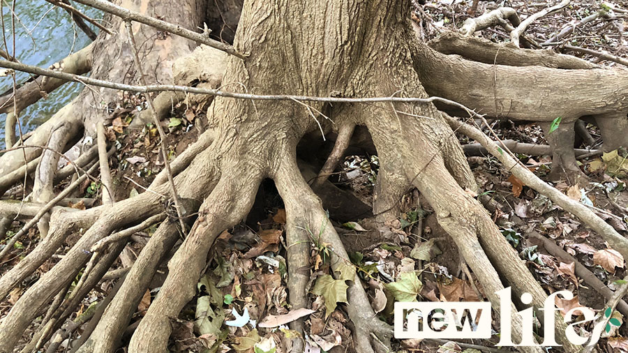 Anger – A Signal to Action