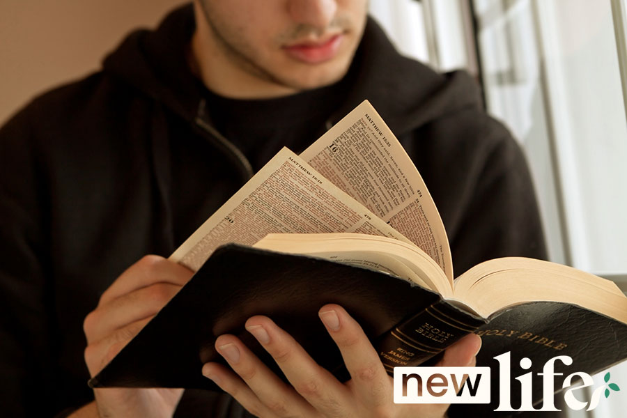 A Beginner’s Guide to Reading the Bible