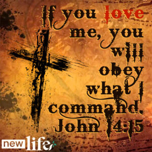 Trust and Obey