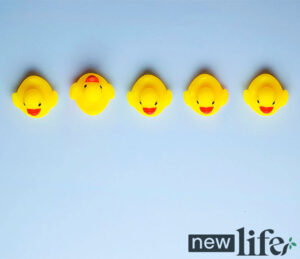 A Balanced Life