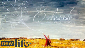 Chasing the Wind