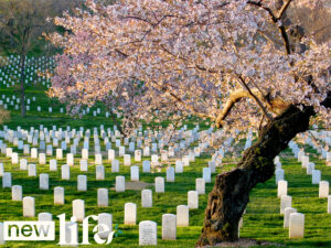 Powerless over Death
