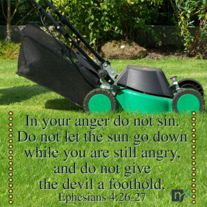Man vs. Lawnmower