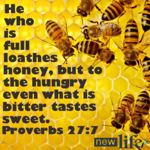 Cultivating a Divine Appetite